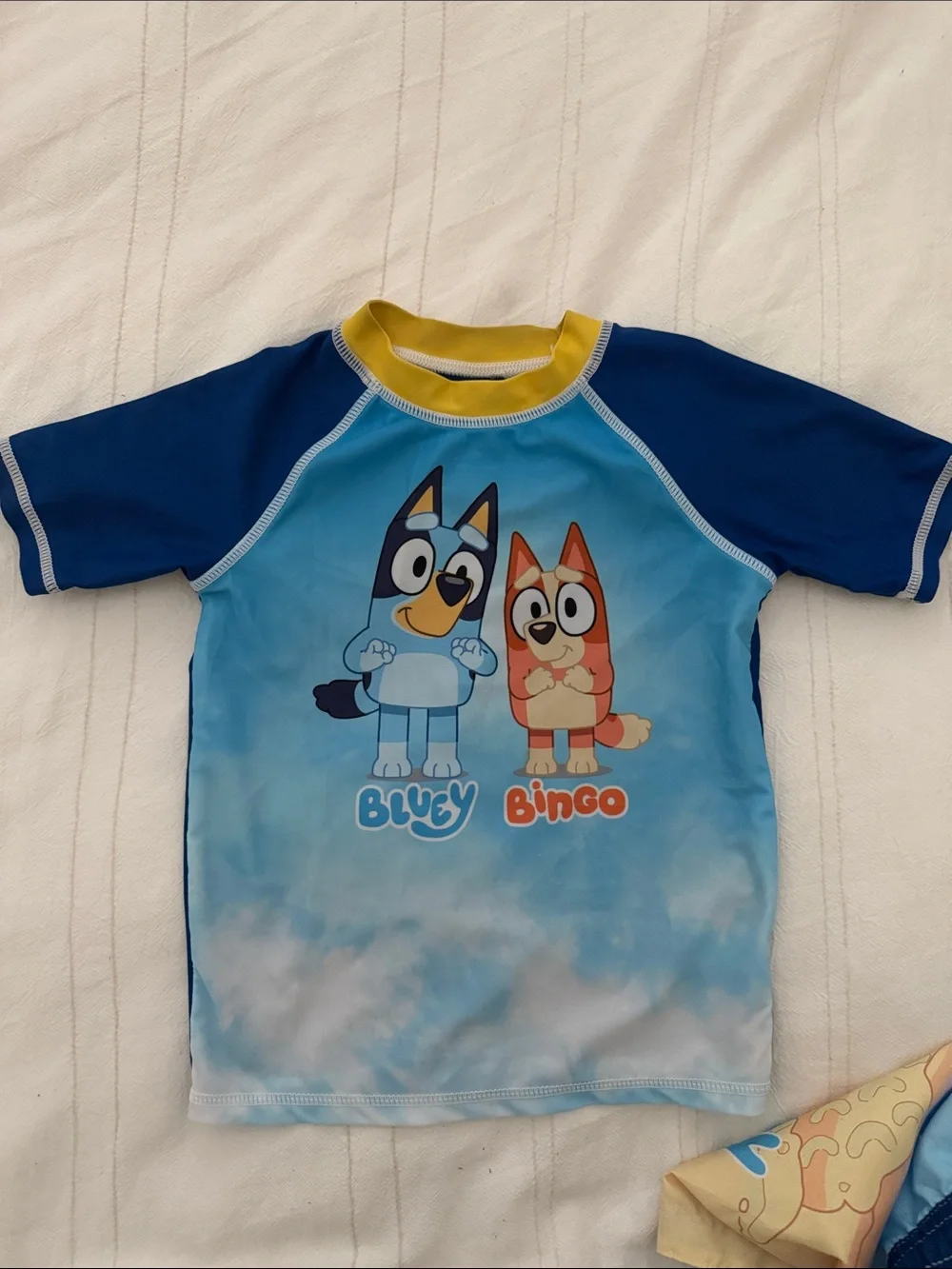 Bluey & Bingo Kids' Short-Sleeve Rash Guard Swim Set - Blue/Yellow